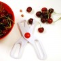 Deluxe Cherry and Olive Pitter