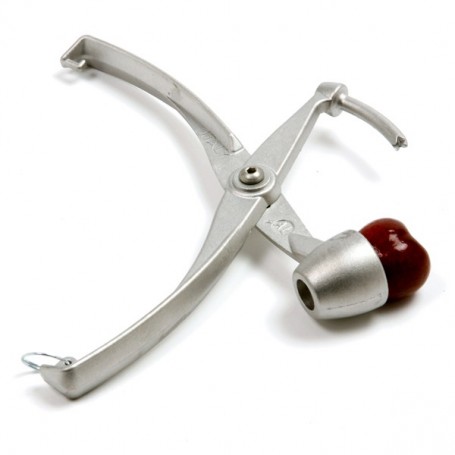 Cherry & Olive Pitter