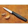 Victorinox - 3.25" Paring Knife, Straight Edge - Black Handle